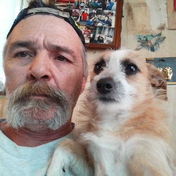 Meet your Posher, Joe - Picture 1 of 1